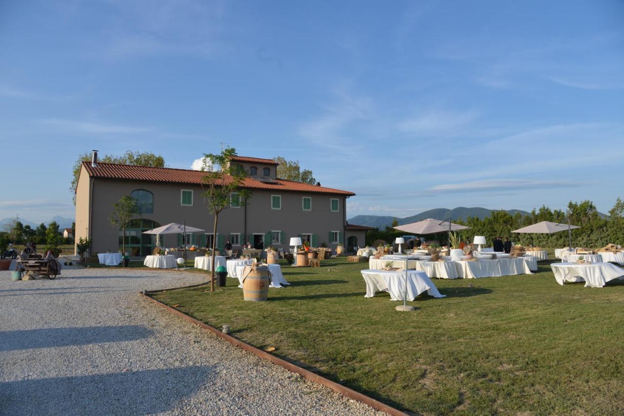 Fattoria L'Olmetto Villa Pisa Bagian luar foto