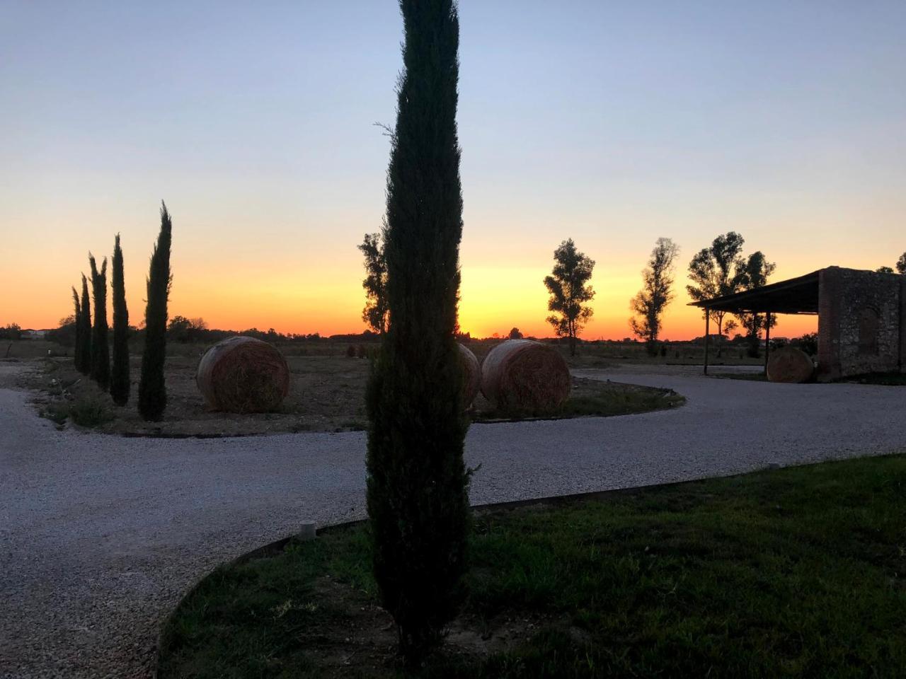 Fattoria L'Olmetto Villa Pisa Bagian luar foto