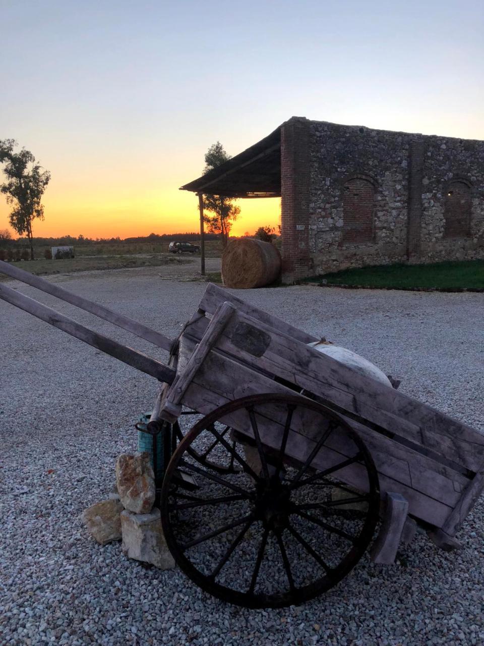 Fattoria L'Olmetto Villa Pisa Bagian luar foto