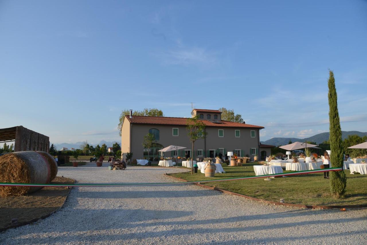 Fattoria L'Olmetto Villa Pisa Bagian luar foto