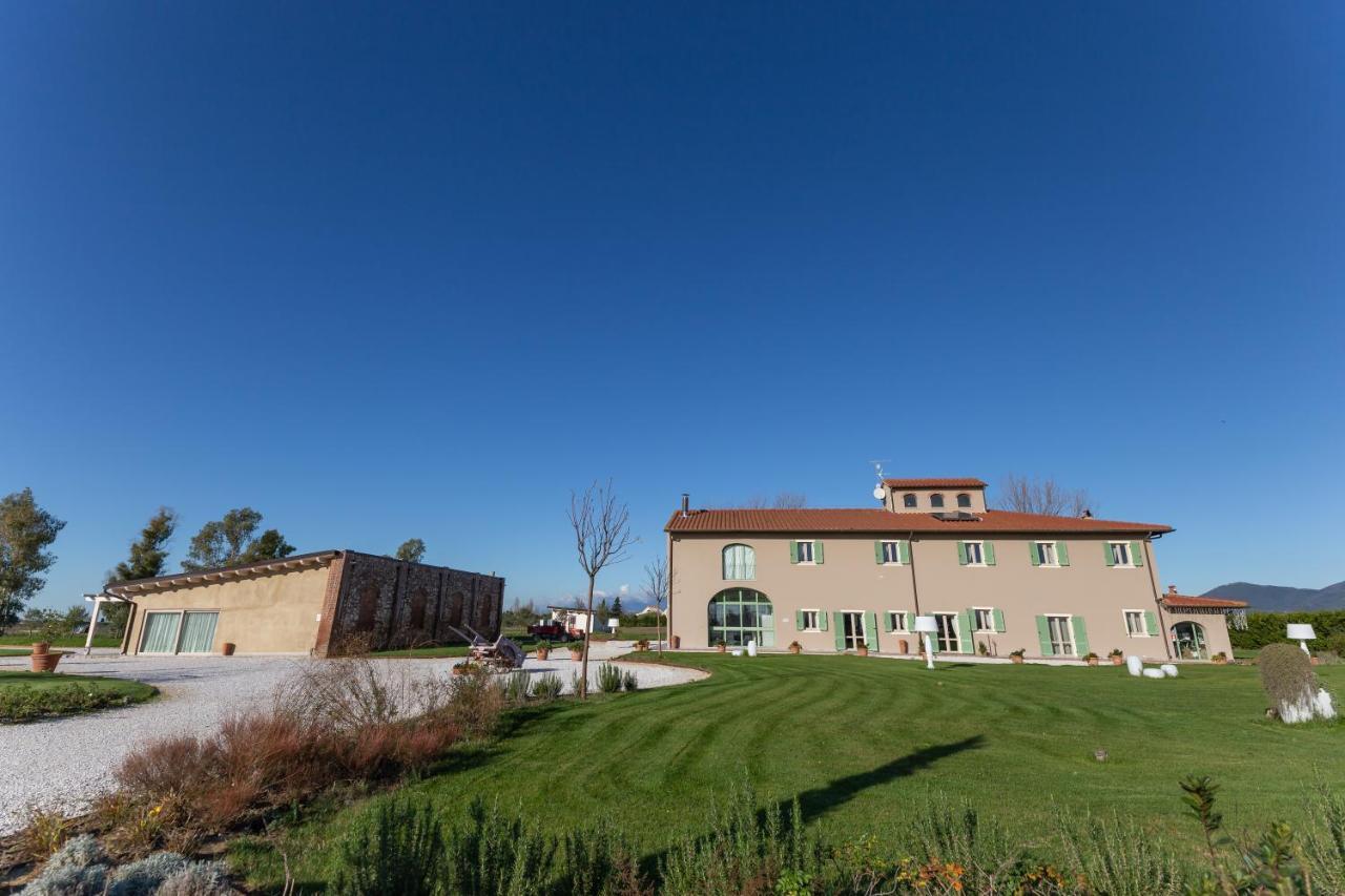 Fattoria L'Olmetto Villa Pisa Bagian luar foto