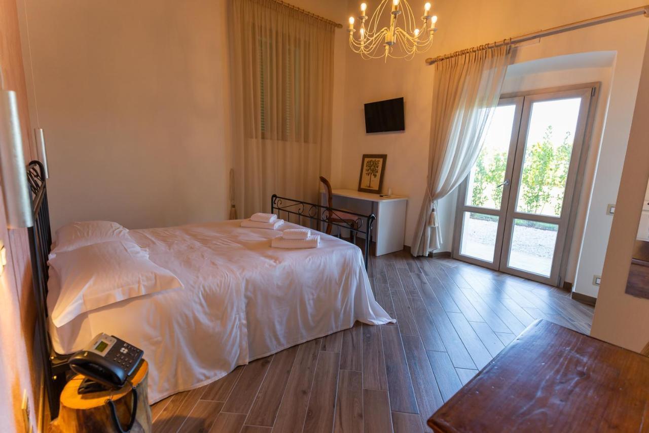 Fattoria L'Olmetto Villa Pisa Bagian luar foto